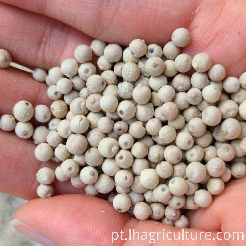 White Pepper Granules Seed